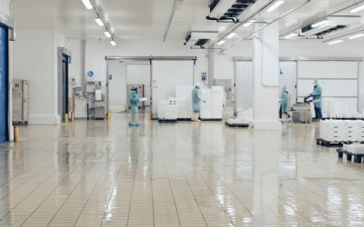 l’etichetta dei prodotti ittici