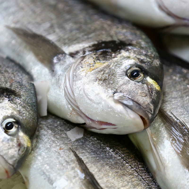 orate pescheria