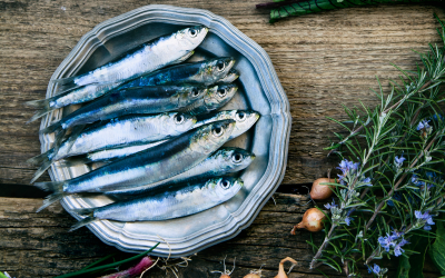 Pesce azzurro: elenco, qualità e ricette