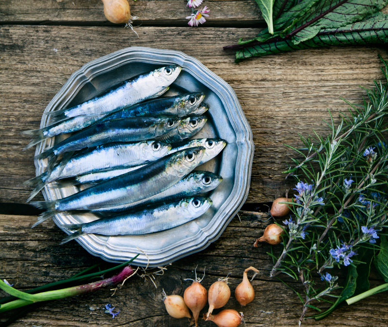 Pesce azzurro: elenco, qualità e ricette