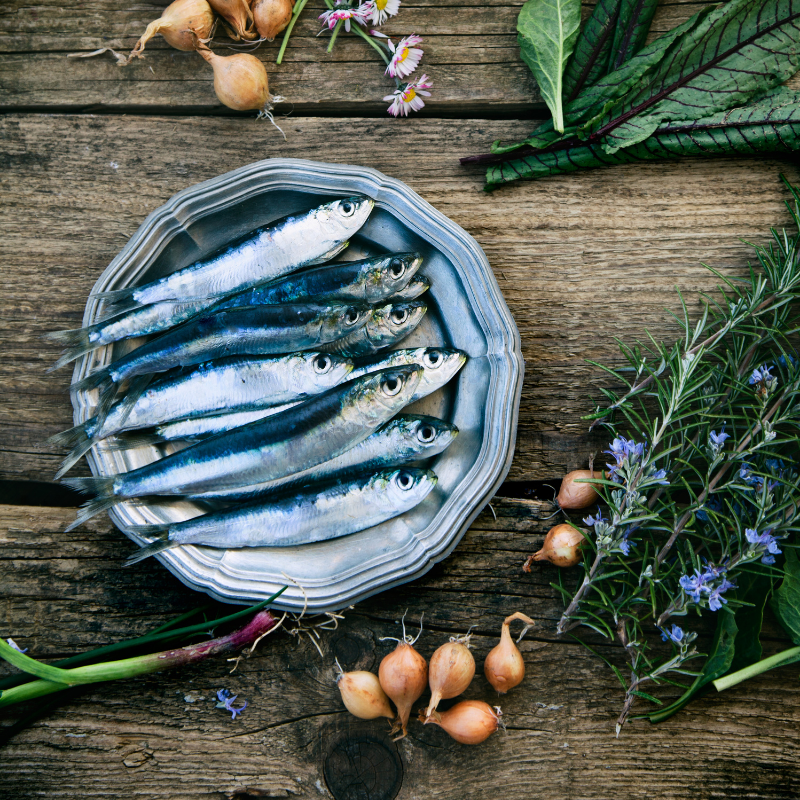 pesce azzurro