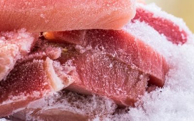 come conservare il pesce fresco al meglio