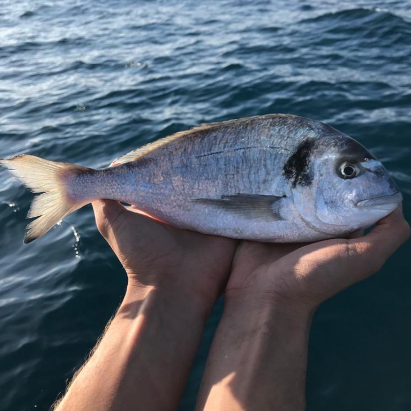 ANNO INTERNAZIONALE PESCA ARTIGIANALE E ACQUACOLTURA 2022