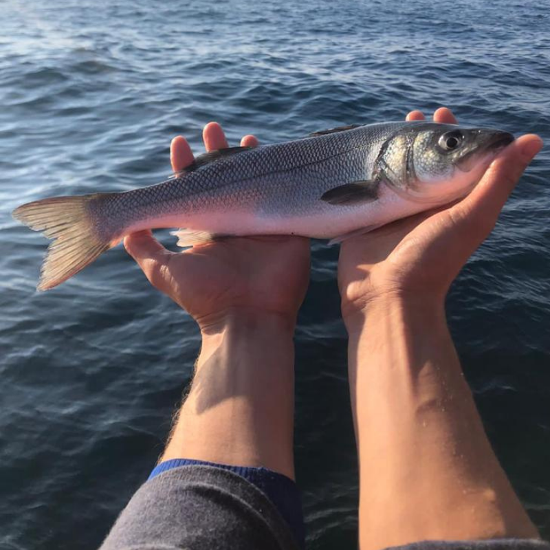 ANNO INTERNAZIONALE PESCA ARTIGIANALE E ACQUACOLTURA 2022