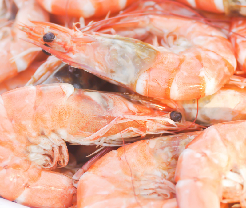 differenze fra mazzancolle e gamberi: come riconoscerle